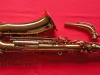 Left-Side-With-Neck
