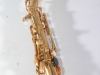 Superba II # 7XXXX Source: eBay.com