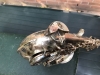 The New King alto # 61377.  Source: boplover on eBay.de